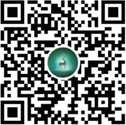 企业文化号